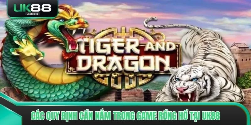Các quy định cần nắm trong game Rồng Hổ tại UK88