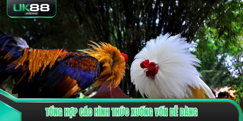 Tổng hợp các hình thức xuống vốn dễ dàng